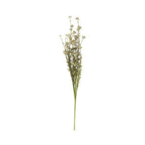 kunstig tørrede blomst hvid/grøn